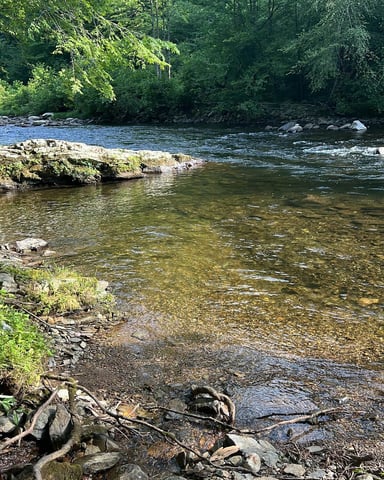 Boundary of Great Smoky Mountains